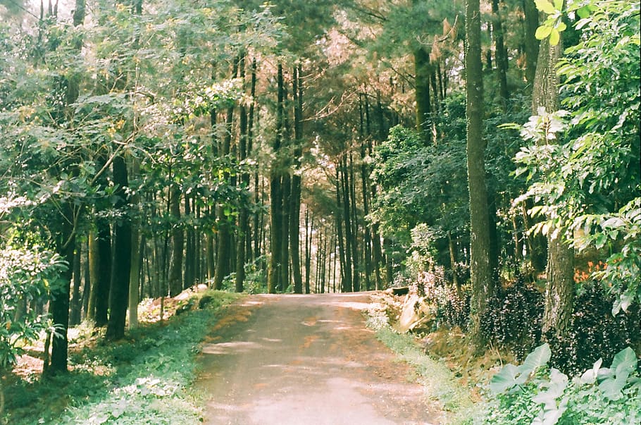 Gunung Pancar