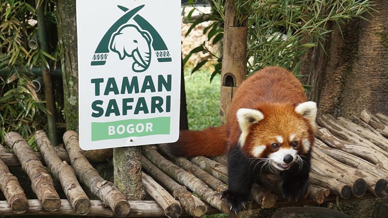Taman Safari